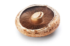 Portobello Mushroom 1 Piece